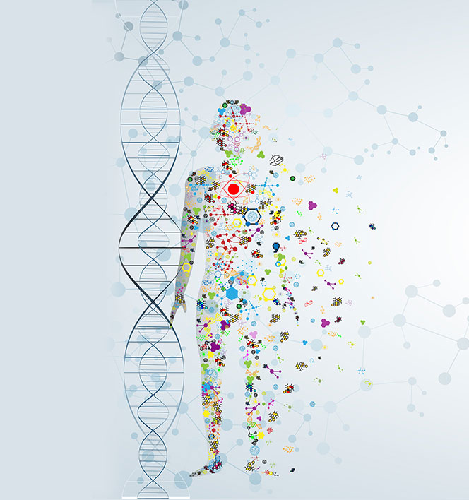 Genetics and the Link to Disease