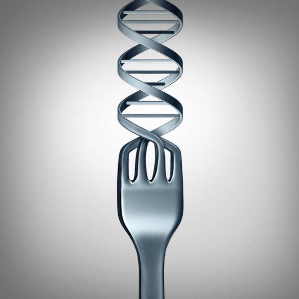 Genetics explained