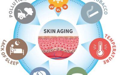 Free Radicals